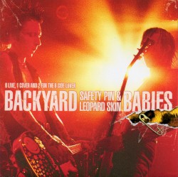 Safety Pin & Leopard Skin