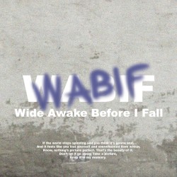 WABIF (Wide Awake before I Fall)