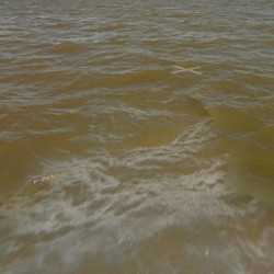 Still Water (A)