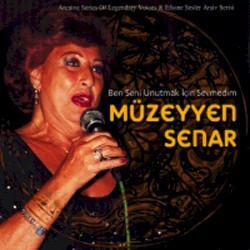 Ben Seni Unutmak İçin Sevmedim