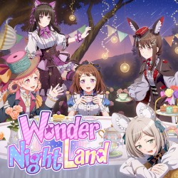 Wonder Night Land