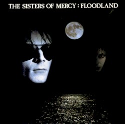 Floodland
