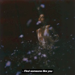 Find Someone Like You
