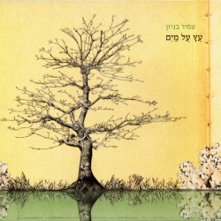 עץ על מים