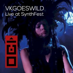 Живое выступление на SynthFest