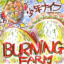 BURNING FARM