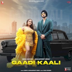 Gaadi Kaali