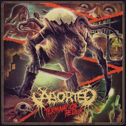 Termination Redux