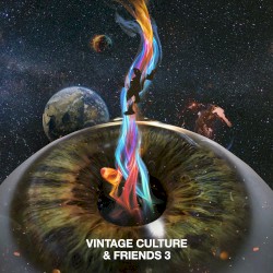 Vintage Culture & Friends 3