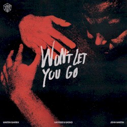 Won't Let You Go