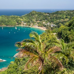 Trinidad