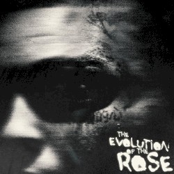 The Evolution of the Rose