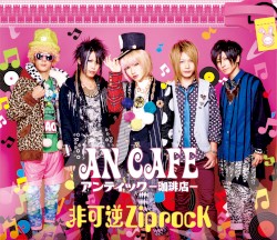 非可逆ZiprocK