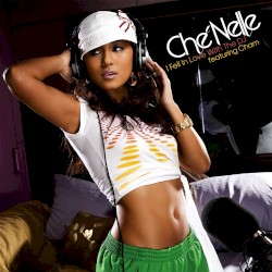 I Fell in Love With the DJ