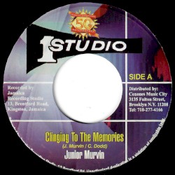 Clinging To The Memories / Clinging To The Memories (Ver)