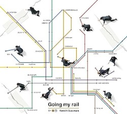 Going my rail