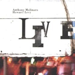 The Molinaro-Levy Project Live