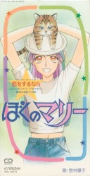 恋をするなら