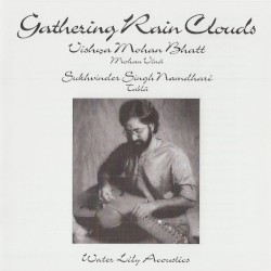 Gathering Rain Clouds