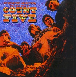Psychotic Reaction: The Very Best of Count Five