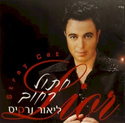 חתול רחוב