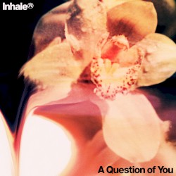 A Question of You