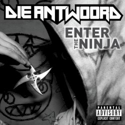 Enter the Ninja