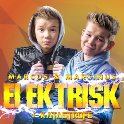 Elektrisk