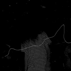 Banshee