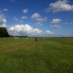 The Hilvarenbeek Recordings