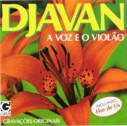 A voz e o violão