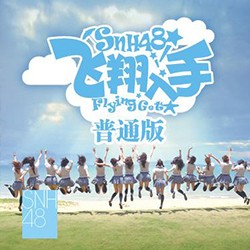 飞翔入手