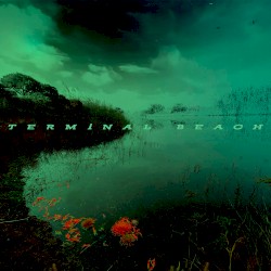 Terminal Beach