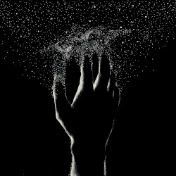 In the Stars
