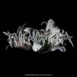 Phenomena