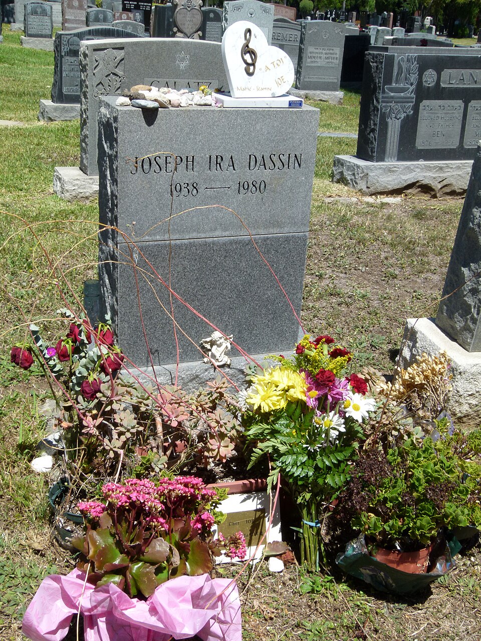 Photo of Joe Dassin