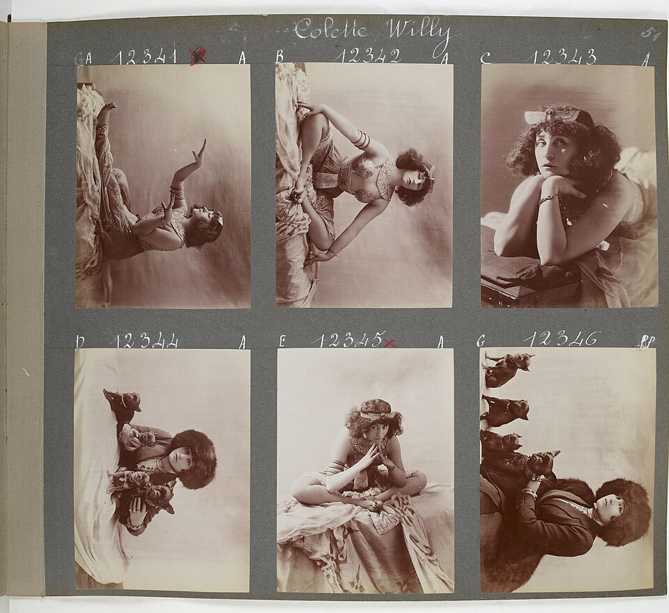 Фото: Colette